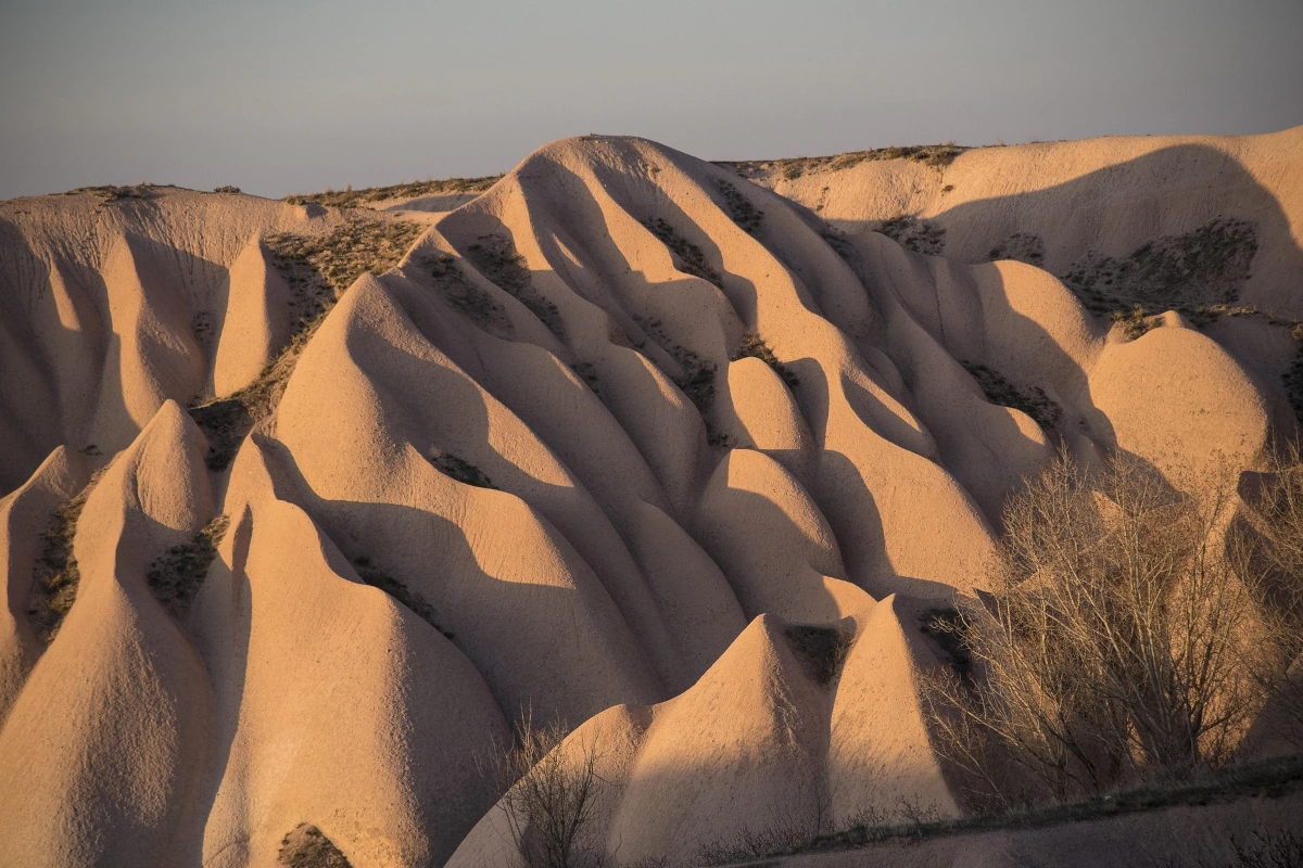 Shescaperetreat Das Retreat